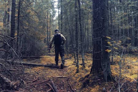 Купить диплом Егеря, лесника в Новочебоксарске